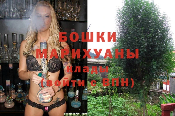 2c-b Верхний Тагил
