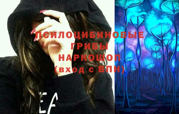 2c-b Верхний Тагил
