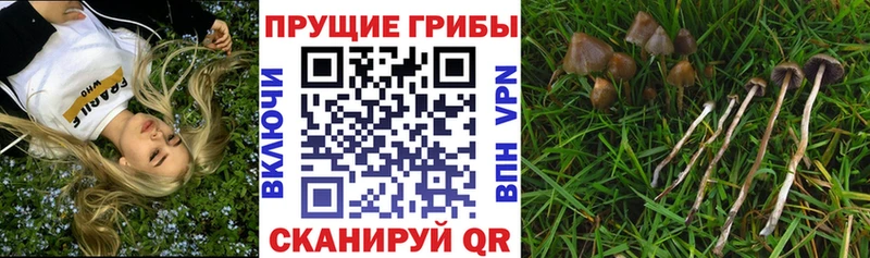 Галлюциногенные грибы мухоморы  Белгород 